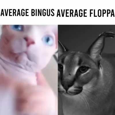 Is this repost?