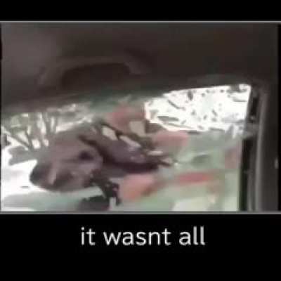 shitposting - Video #4041