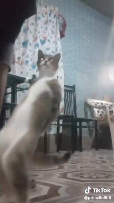 AsheruIMBA