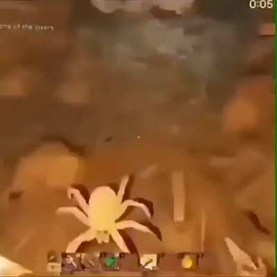 The virgin player and the chad spider