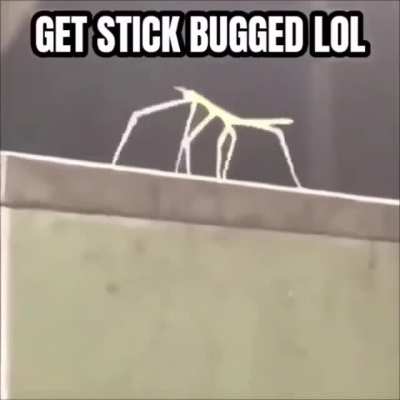 me_irl