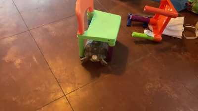 Enrichment