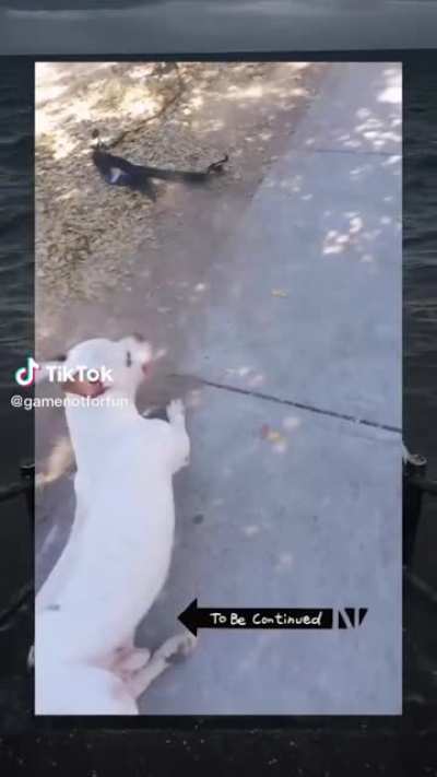 to be continued