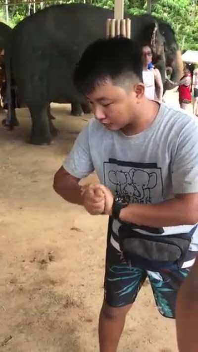 Thailand magic trick