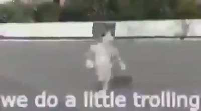 shitposting - Video #3594