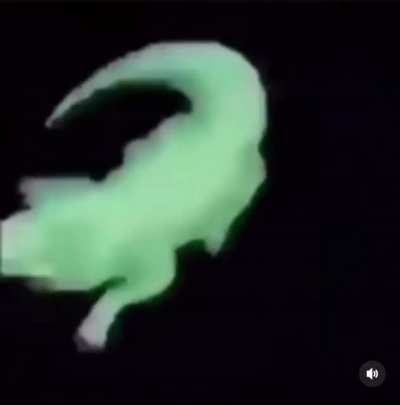 spin