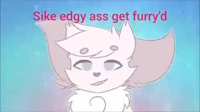 Furry_irl