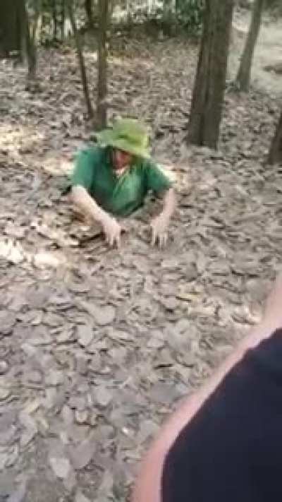 Guides in Vietnam demonstrate spiderhole tactics for tourists