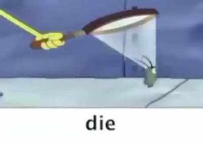 die
