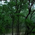 A storm that rolled through Oklahoma last night.