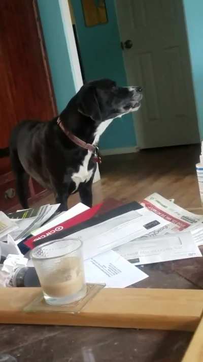 What Did You Say?