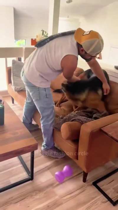Собаки, которые боятся воды