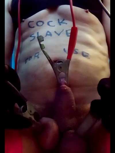 Cock GIF by guysounds