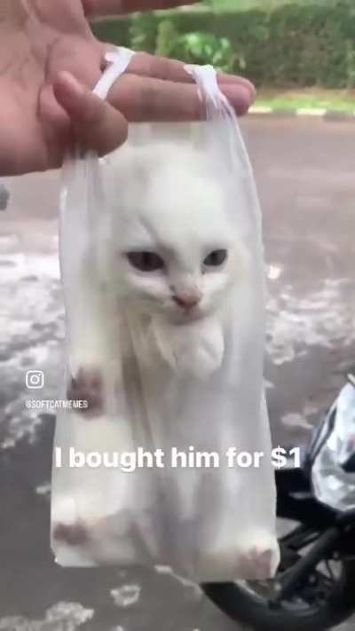 🧽 