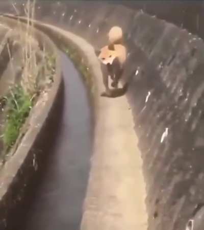 Anda, anda, anda