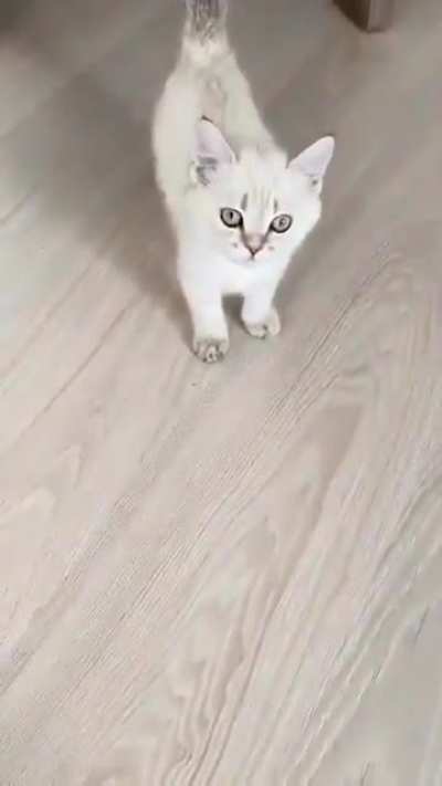aaaaa... A҉҉̦̣̤͔̟̩̋̿̏ͦ̈́̍͟͠A҉҉̦̣̤͔̟̩̋̿̏ͦ̈́̍͟͠A҉҉̦̣̤͔̟̩̋̿̏ͦ̈́̍͟͠A҉҉̦̣̤͔̟̩̋̿̏ͦ̈́̍͟͠A҉҉̦̣̤͔̟̩̋̿̏ͦ̈́̍͟͠A҉҉̦̣̤͔̟̩̋̿̏ͦ̈́̍͟͠