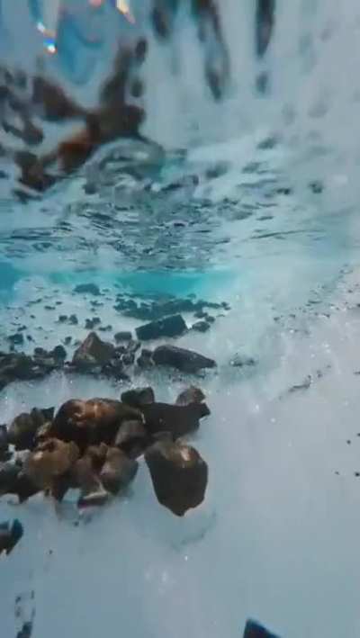 Hydrohomie heaven