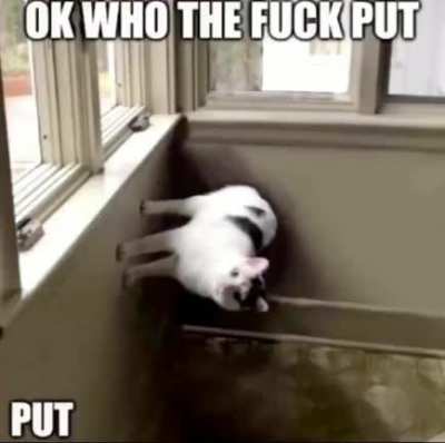 It wasn’t me man