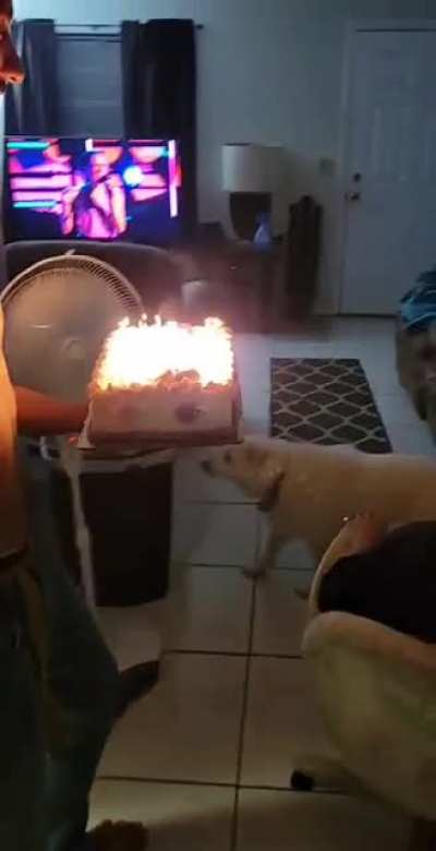 No one told me they turned on the fan when I was lighting the candles..
