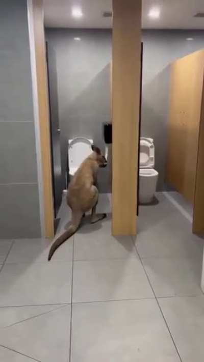The bouncer in this club looks a bit weird