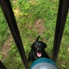 Vader’s advice for hot days: stay hydrated.