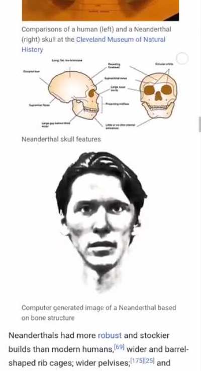 Jerma?