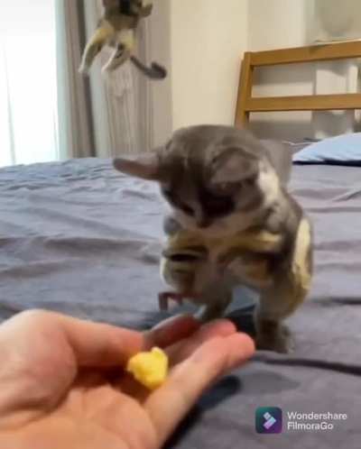 What you got there?