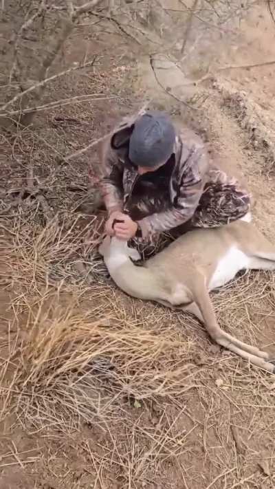 This man performed CPR on a deer, saving its life.