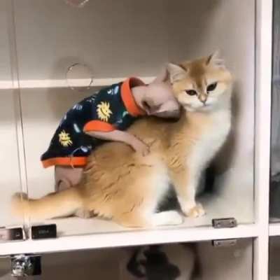 r/aww my arse.