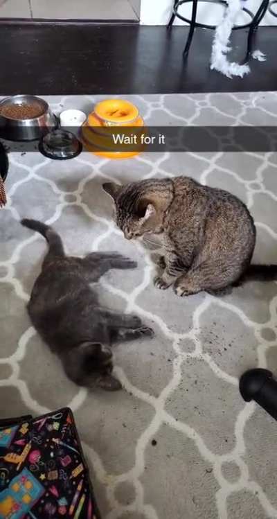 Nyoom!