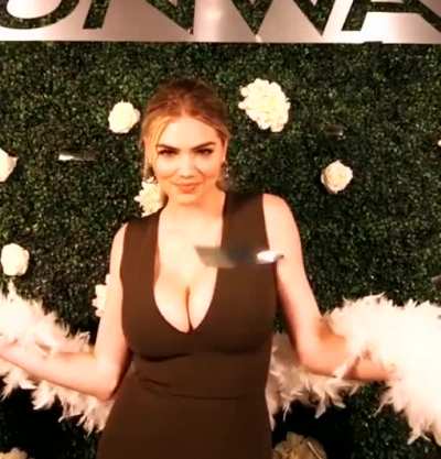 Wanna chat and jerk about bimbo Kate Upton?