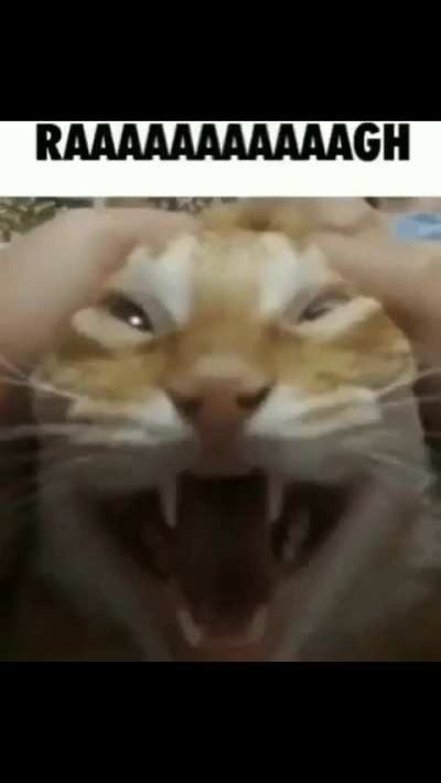 ʒ