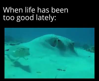 Something is wrong I can feel it