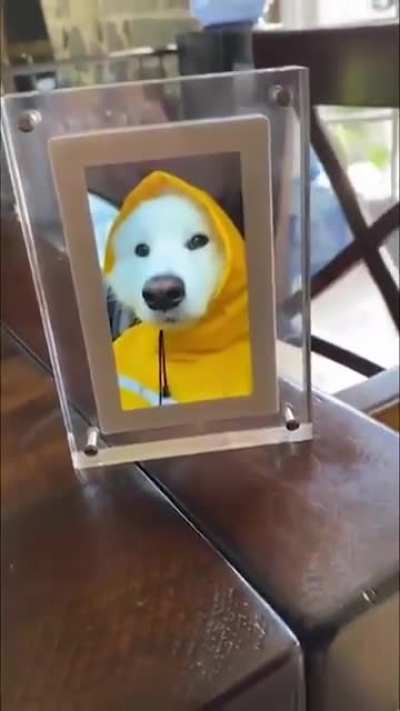 On a rainy day he appears.