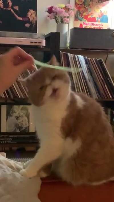 What is that noise, Stanley?