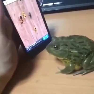 Wunk Gaming