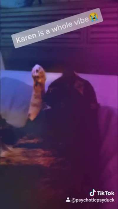 Karen vibing