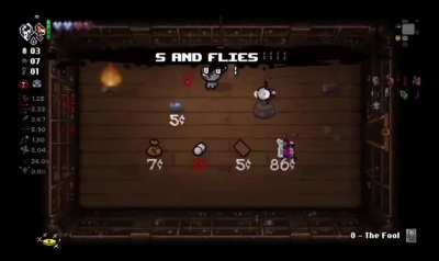 S and flies
