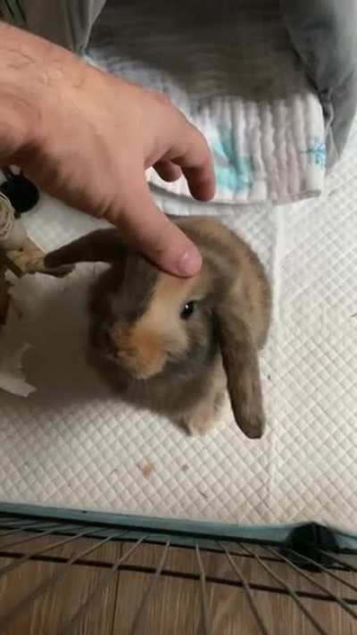 This gorgeous little bundle. 🐰