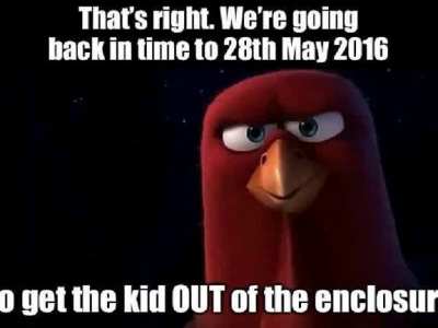 Remember harambe