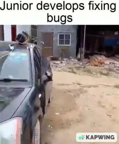 Just an average day