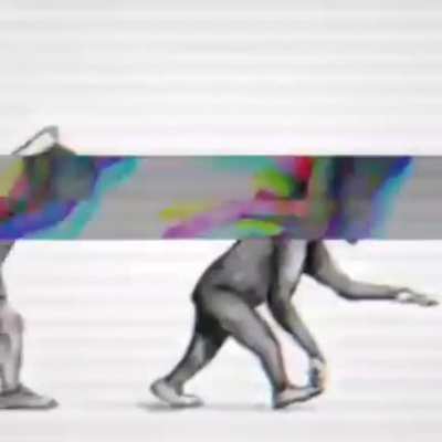 The evolution of humanity