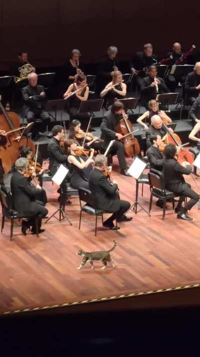 He's obviously the guest conductor show him some respect