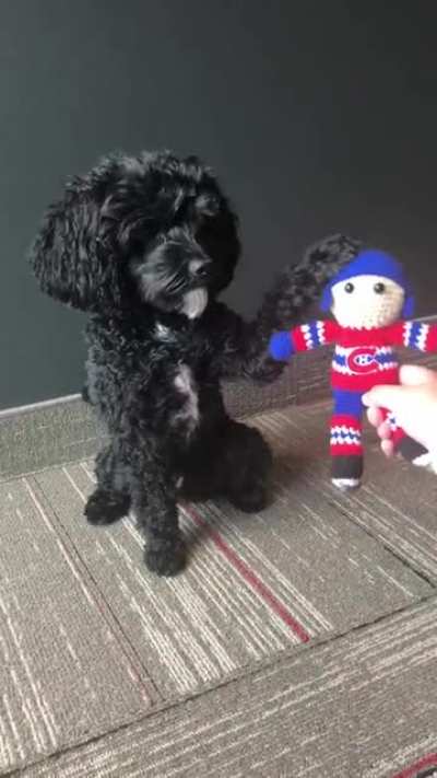 After going 2/2 in the semi-finals, Bandit has decided that the Habs are taking home the stanley cup!