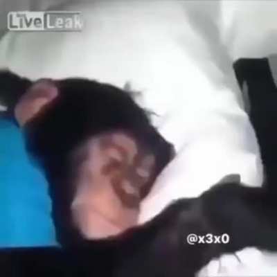 Wake up