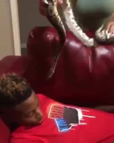 Snake Phobia.