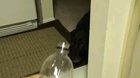 PriEst BaNiShEs DeMoNiC cReAtUrE WiTh HoLy WaTeR.