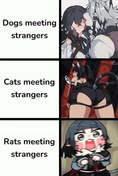 The rat is shook