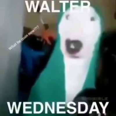 Walt