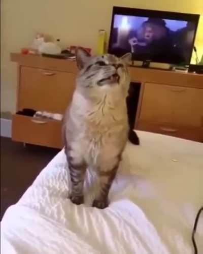 Violent Sneezes